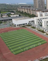 向陽(yáng)橋小學(xué)